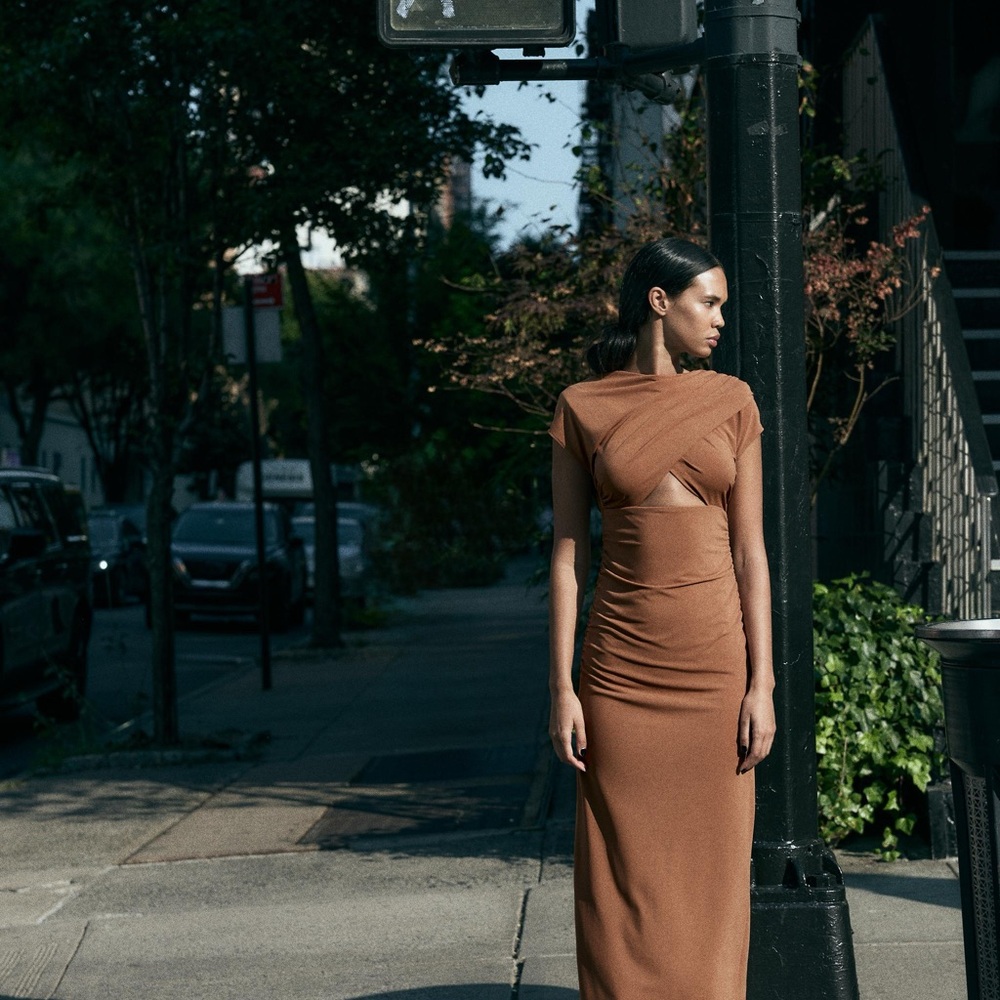 Zara Dress NWT